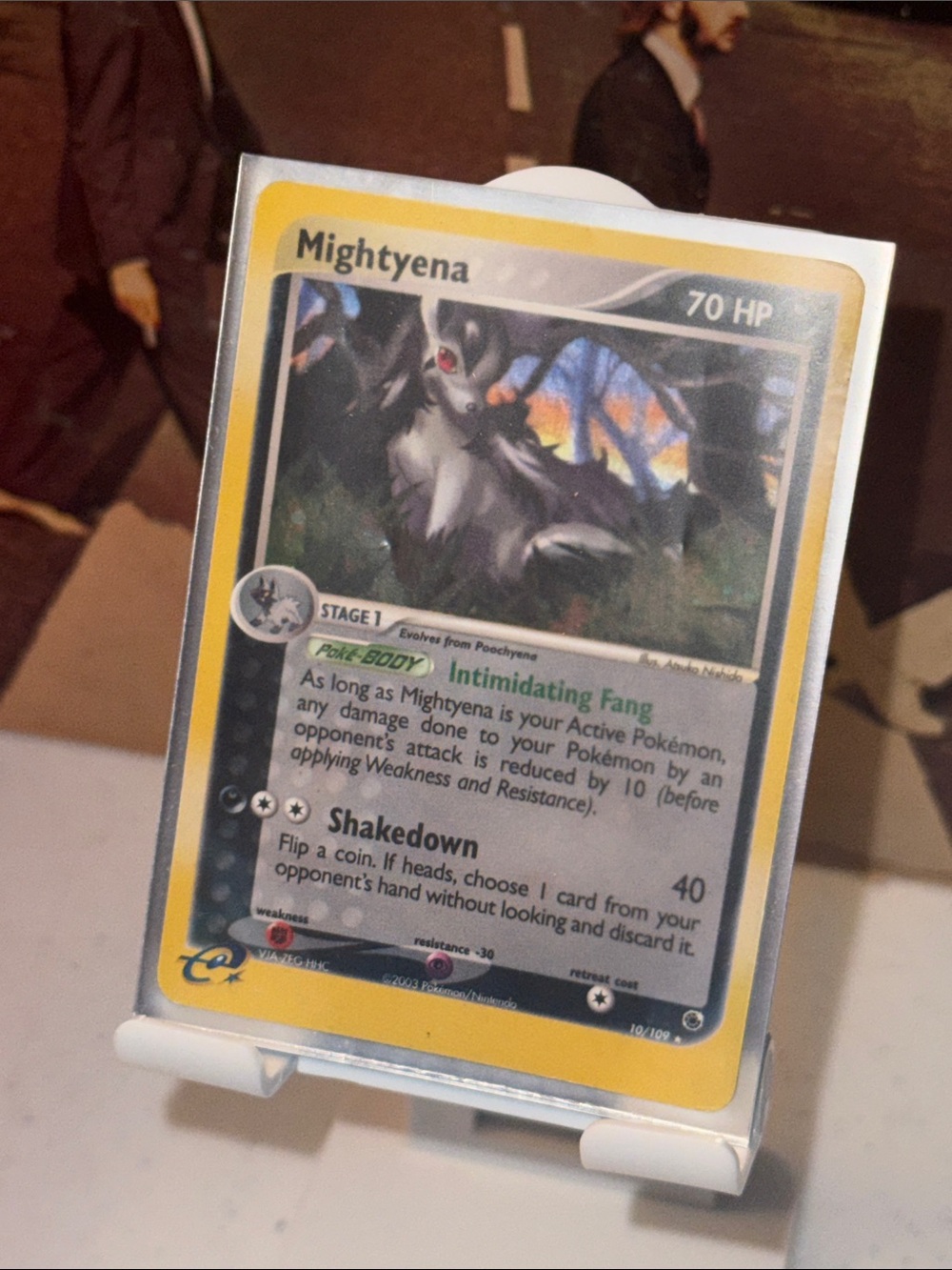 Pokemon Mightyena 10/109 HOLO